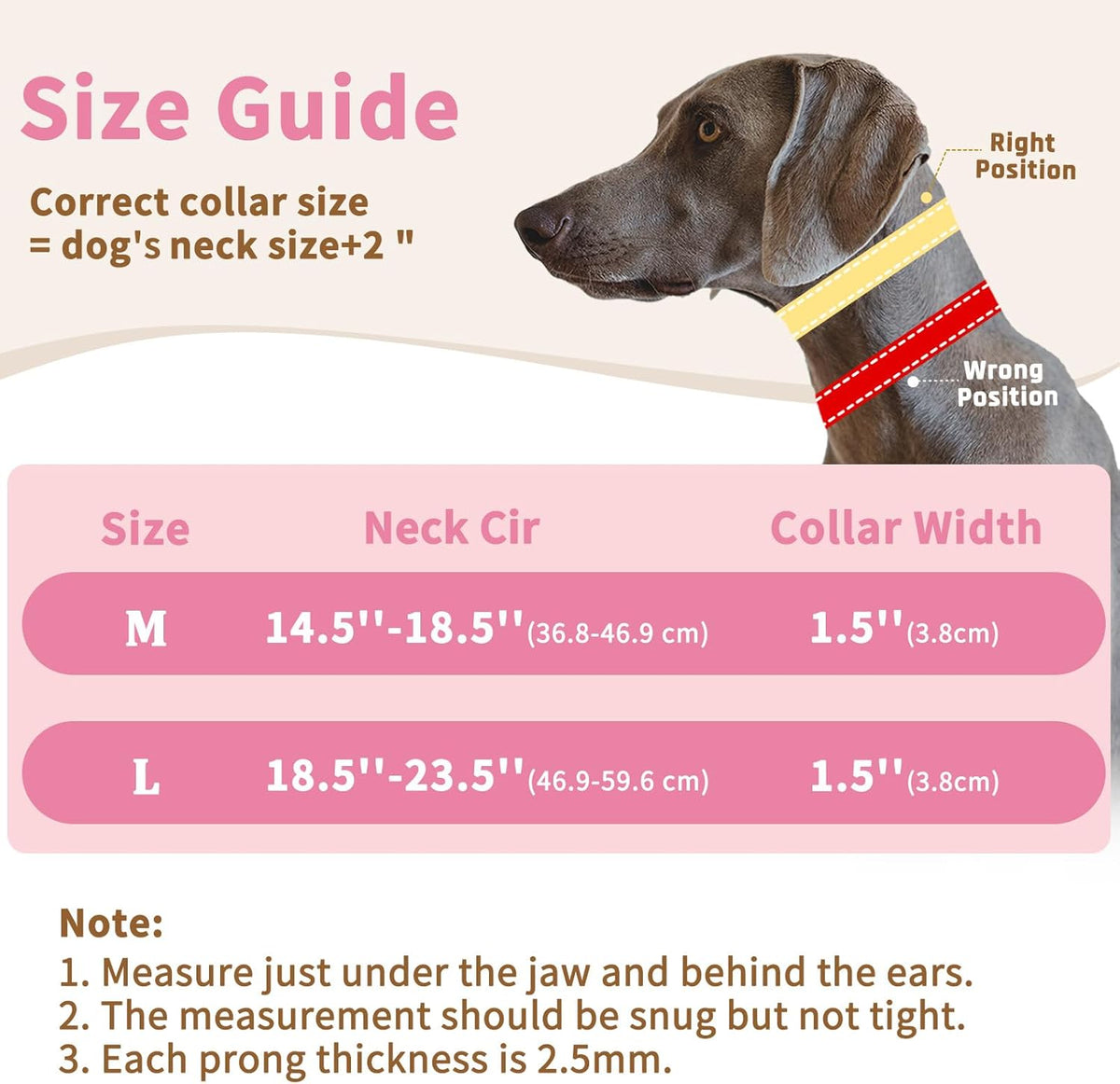 Heavy duty buckle mechanism on Mayerzon martingale dog collar