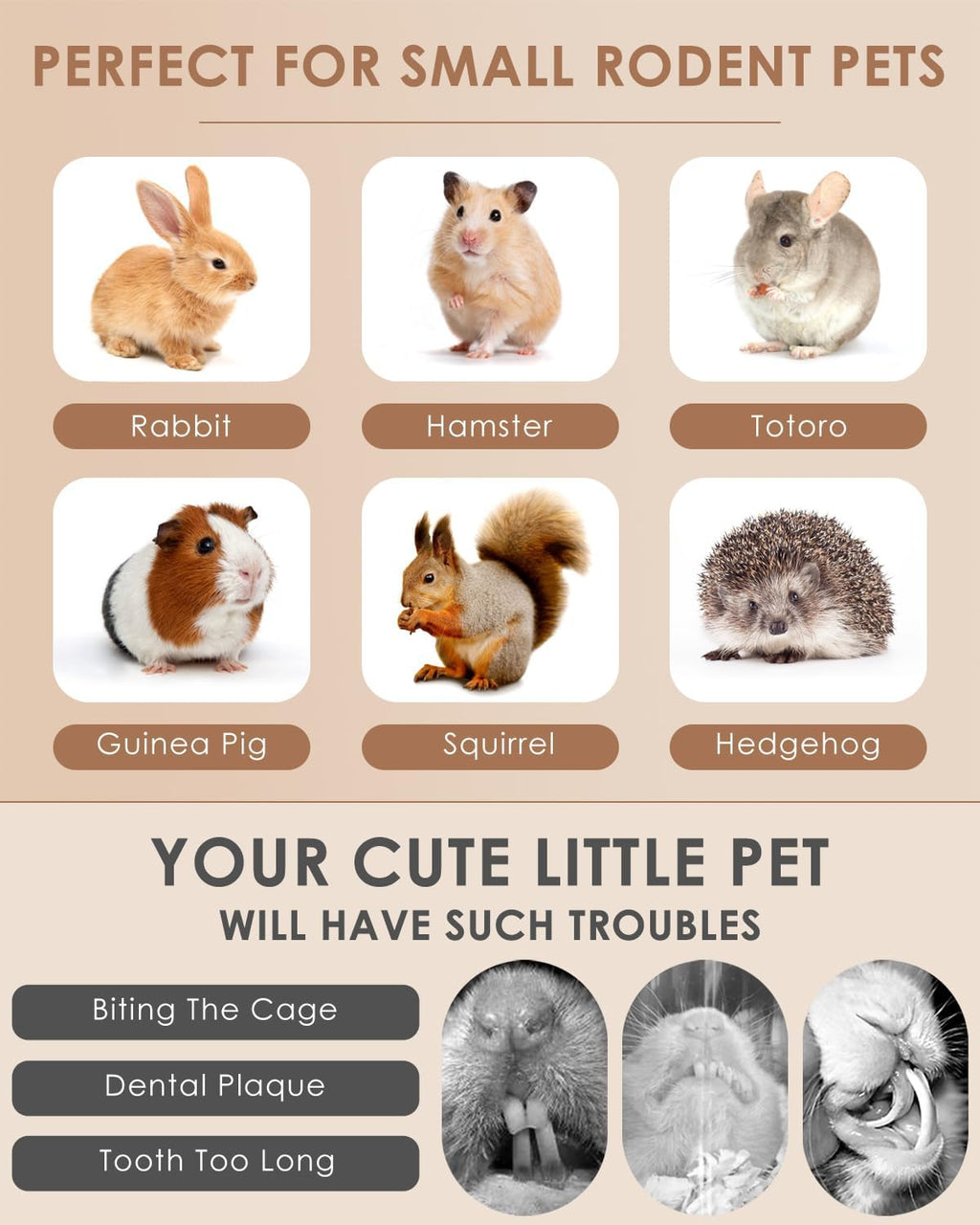 Natural wood alternative pet treats showing precise uniform stick dimensions
