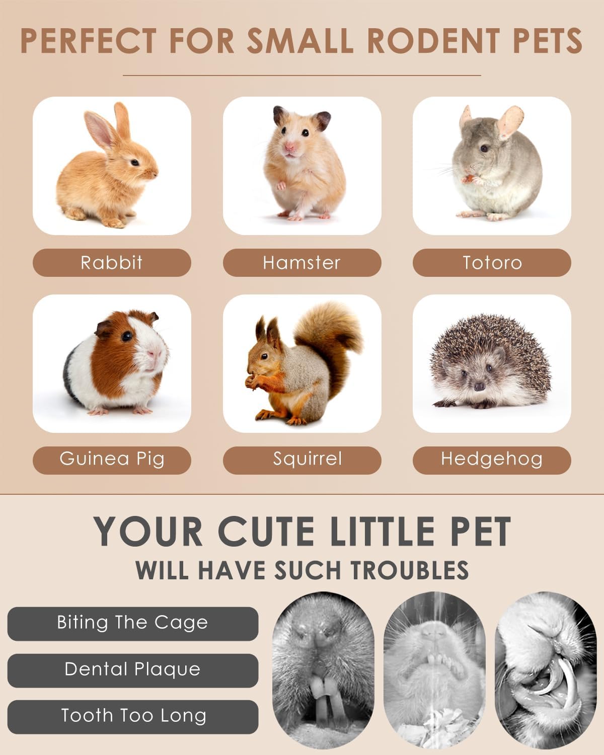 Natural wood alternative pet treats showing precise uniform stick dimensions