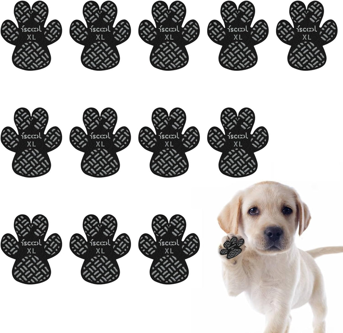 Dog walking confidently with anti-slip paw grips