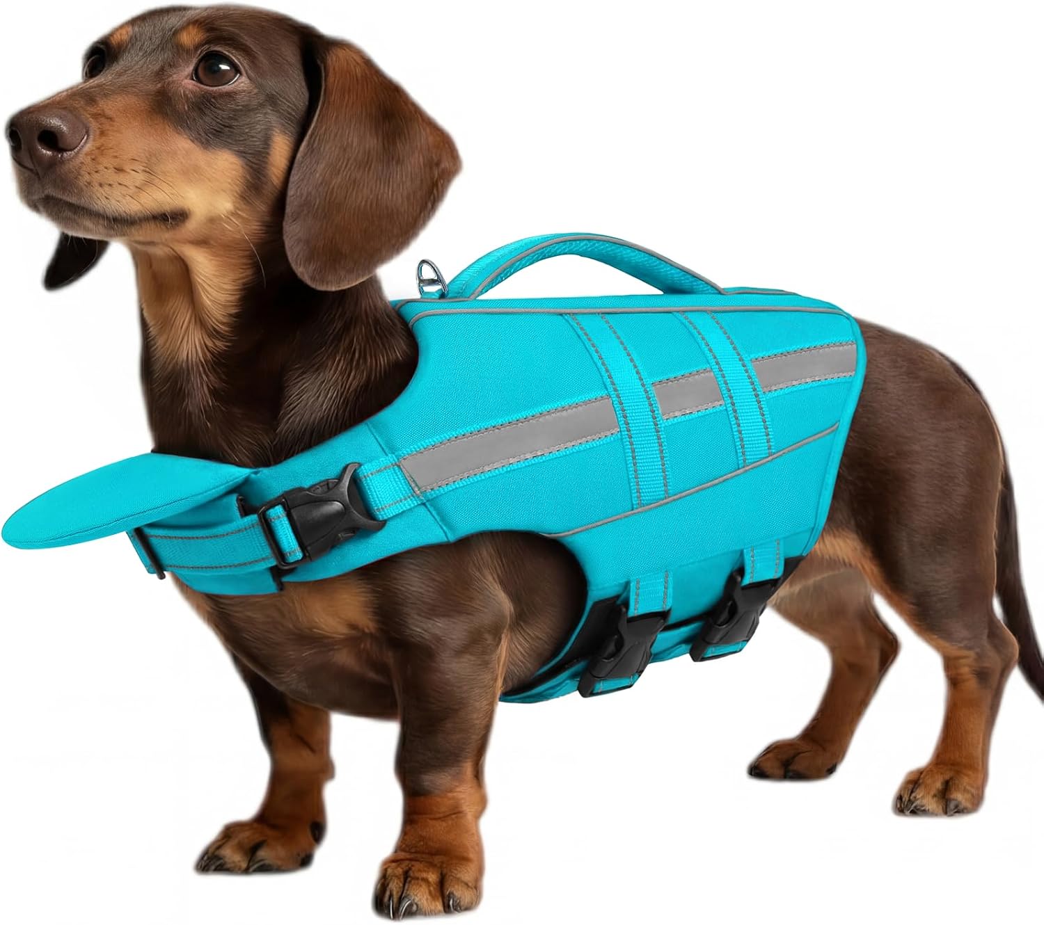 ASENKU Dog Life Jacket, High-Buoyancy Life Vest with Removable Front Float, Rescue Handle and Reflective Strips, Adjustable Swim Vest for Boating, Swimming, Beach(Green S) - Image 10