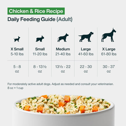 JustFoodForDogs Pantry Fresh Wet Dog Food, Complete Meal or Topper, Chicken & White Rice Human Grade Recipe - 12.5 oz (Pack of 6) - Image 10