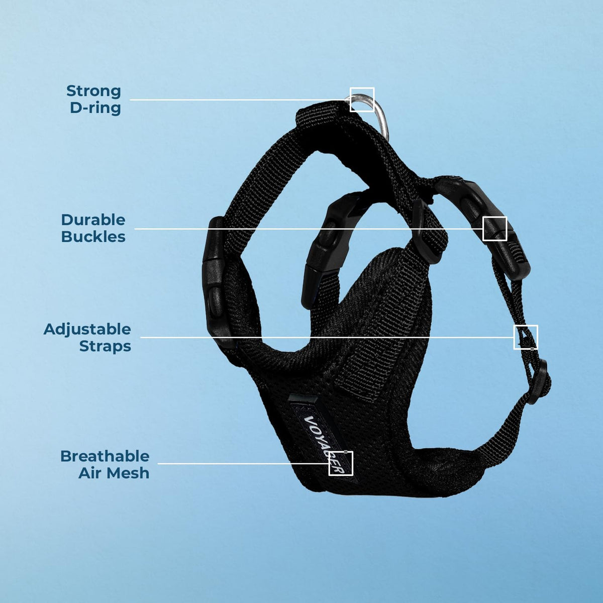 Small cat wearing Voyager step-in lock harness side profile