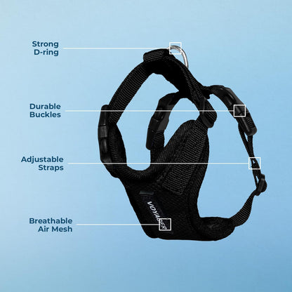 Small cat wearing Voyager step-in lock harness side profile