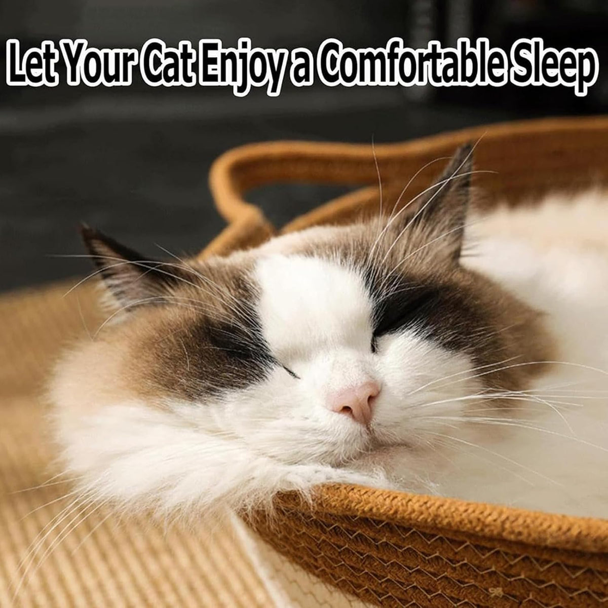 FHKPET portable cat bed with handles