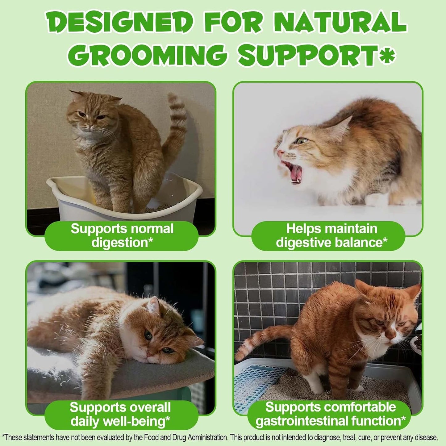Frduga cat vitamins and immune support supplement