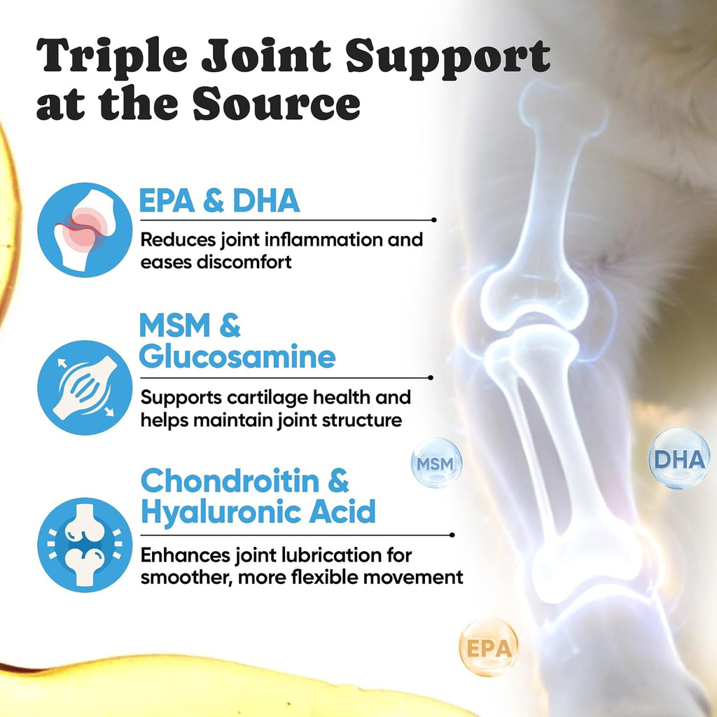 BuddyCheer EPA DHA fatty acids dog joint support soft chews label
