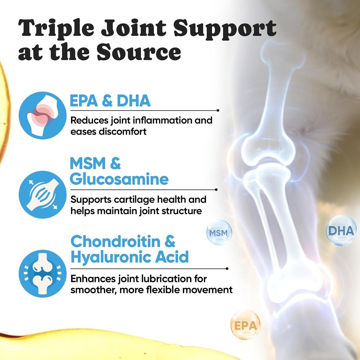 BuddyCheer EPA DHA fatty acids dog joint support soft chews label