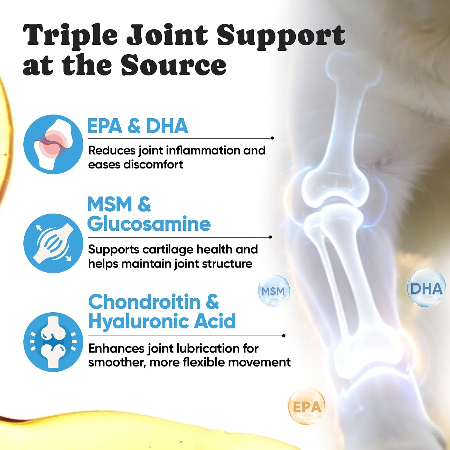 BuddyCheer EPA DHA fatty acids dog joint support soft chews label