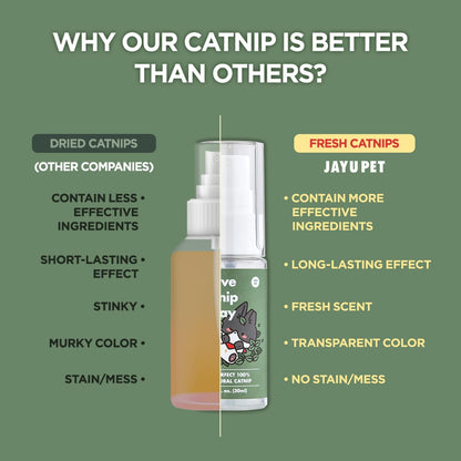 High potency organic catnip spray applied on a cat scratching post