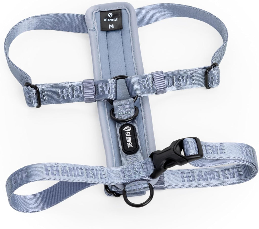 Fei & Eve Moxie Dog Harness for Small & Medium Dogs, Champagne, S | Lightweight Design, 3-Point No-Pull Control, Quick Release Metal Buckle - Image 12