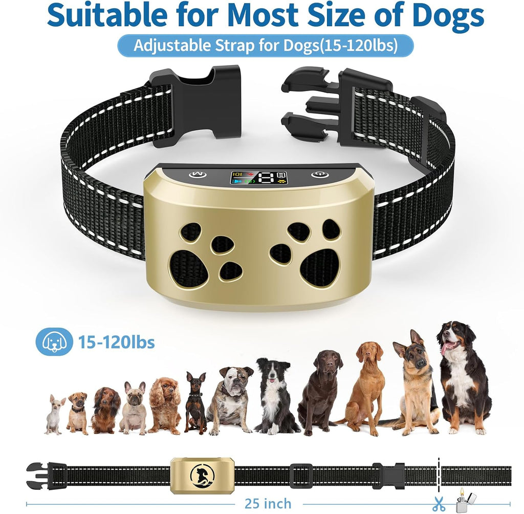Side view of Kismiger dog training collar
