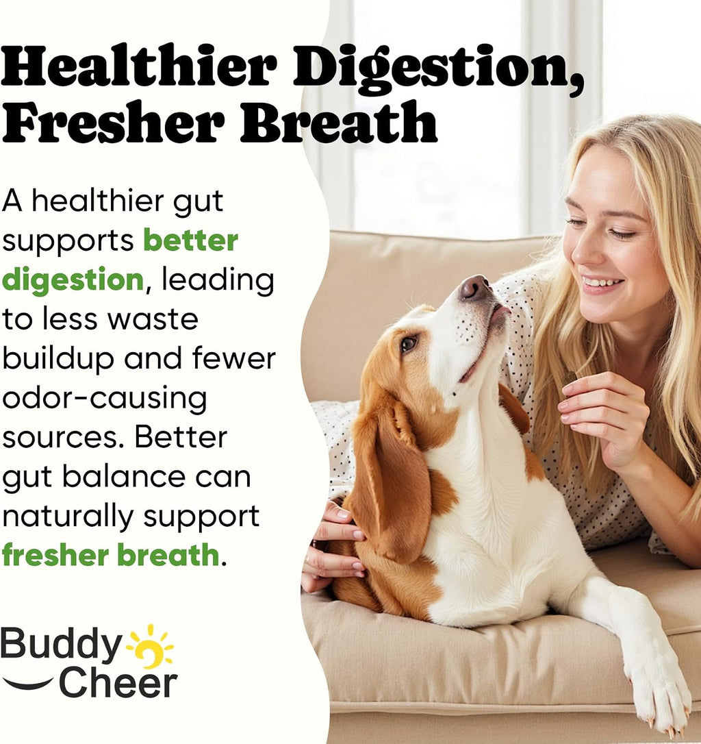 Dog digestive enzymes for loose stools and gas relief