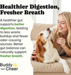 Dog digestive enzymes for loose stools and gas relief