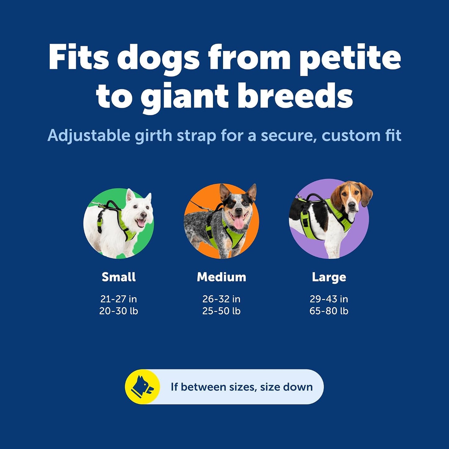 PetSafe EasySport harness elastic neckline close up