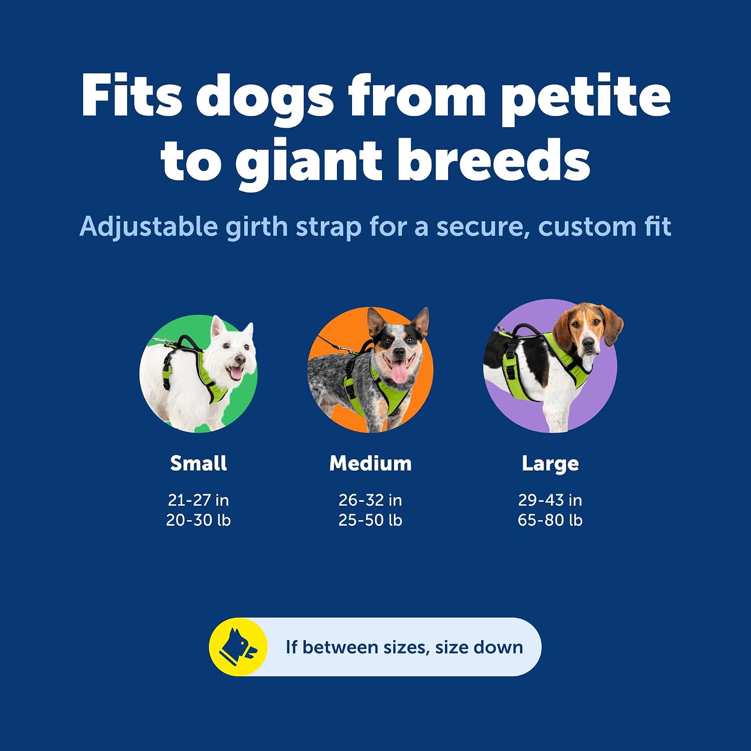PetSafe EasySport harness elastic neckline close up