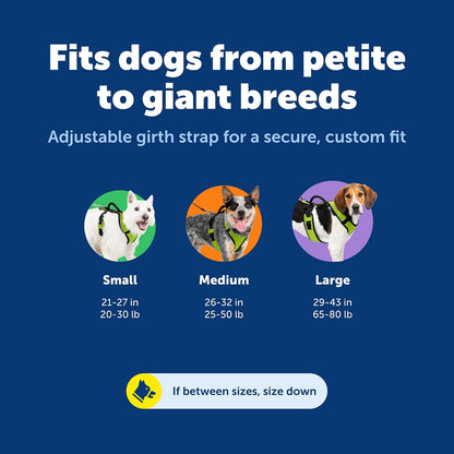 PetSafe EasySport harness elastic neckline close up