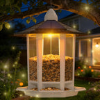 Birdream 2 Pack Solar Bird Feeders for Outdoors Hanging, Assembly Required, 1-Min Easy Setup, Wild Seed Feeders for Cardinals Chickadees and Finches - Image 9