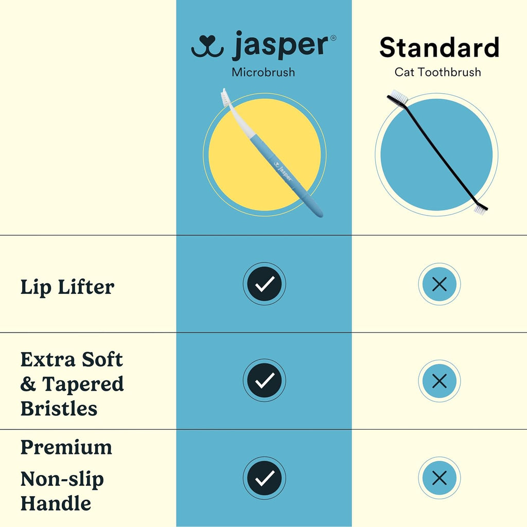 Jasper cat toothbrush kit components showing four heads
