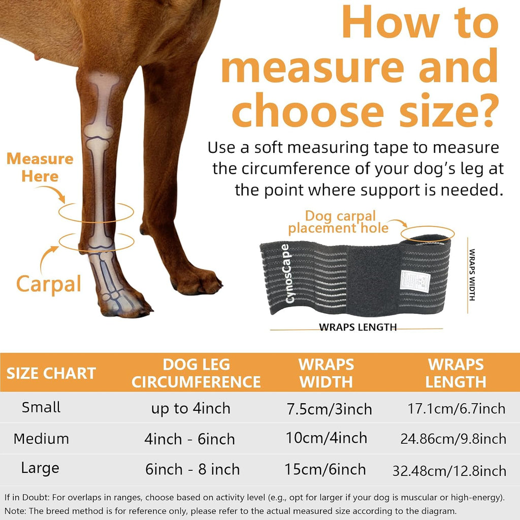 Close up of adjustable hook and loop strap on dog brace