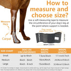 Close up of adjustable hook and loop strap on dog brace