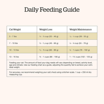 Now Fresh Good Gravy premium grain-free cat food salmon