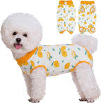 Small puppy wearing abdominal wound protection suit