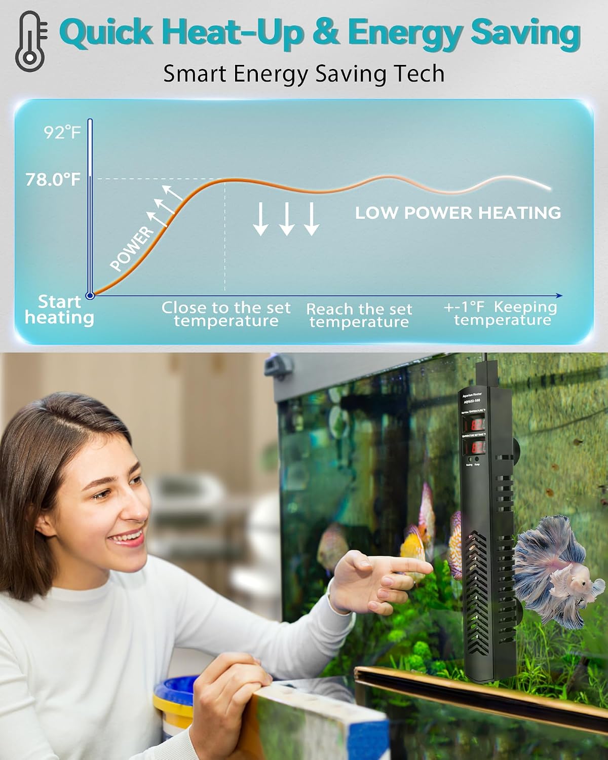 External temperature controller for aquarium heater