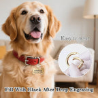 Overket rust resistant solid brass bone pet tag with dual attachment rings