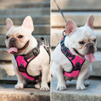 PoyPet dog harness padded control handle