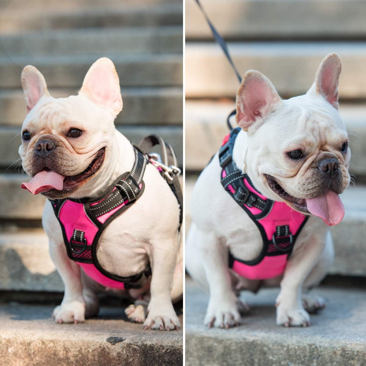PoyPet dog harness padded control handle