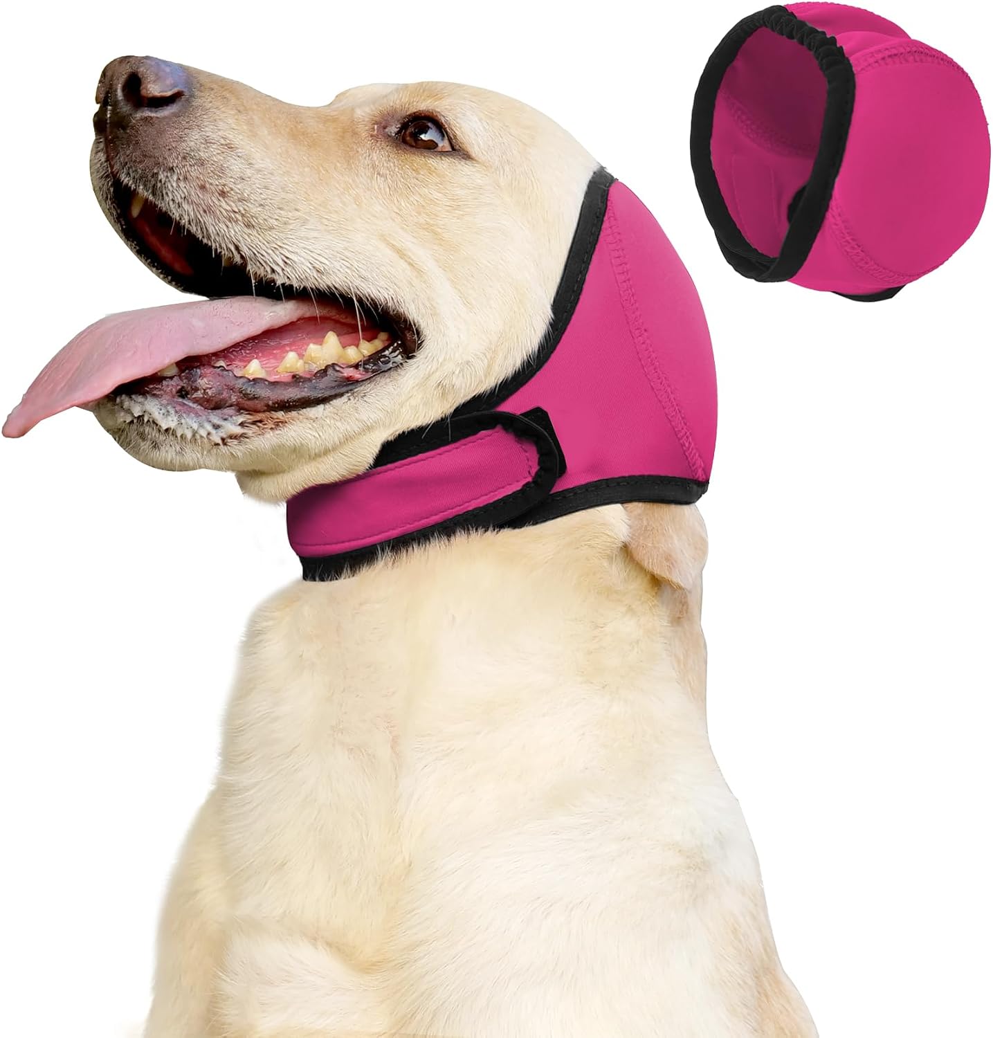 Dog feeling calm and secure with noise reduction headgear
