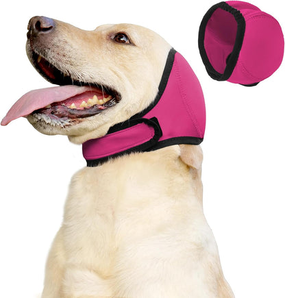 Dog feeling calm and secure with noise reduction headgear