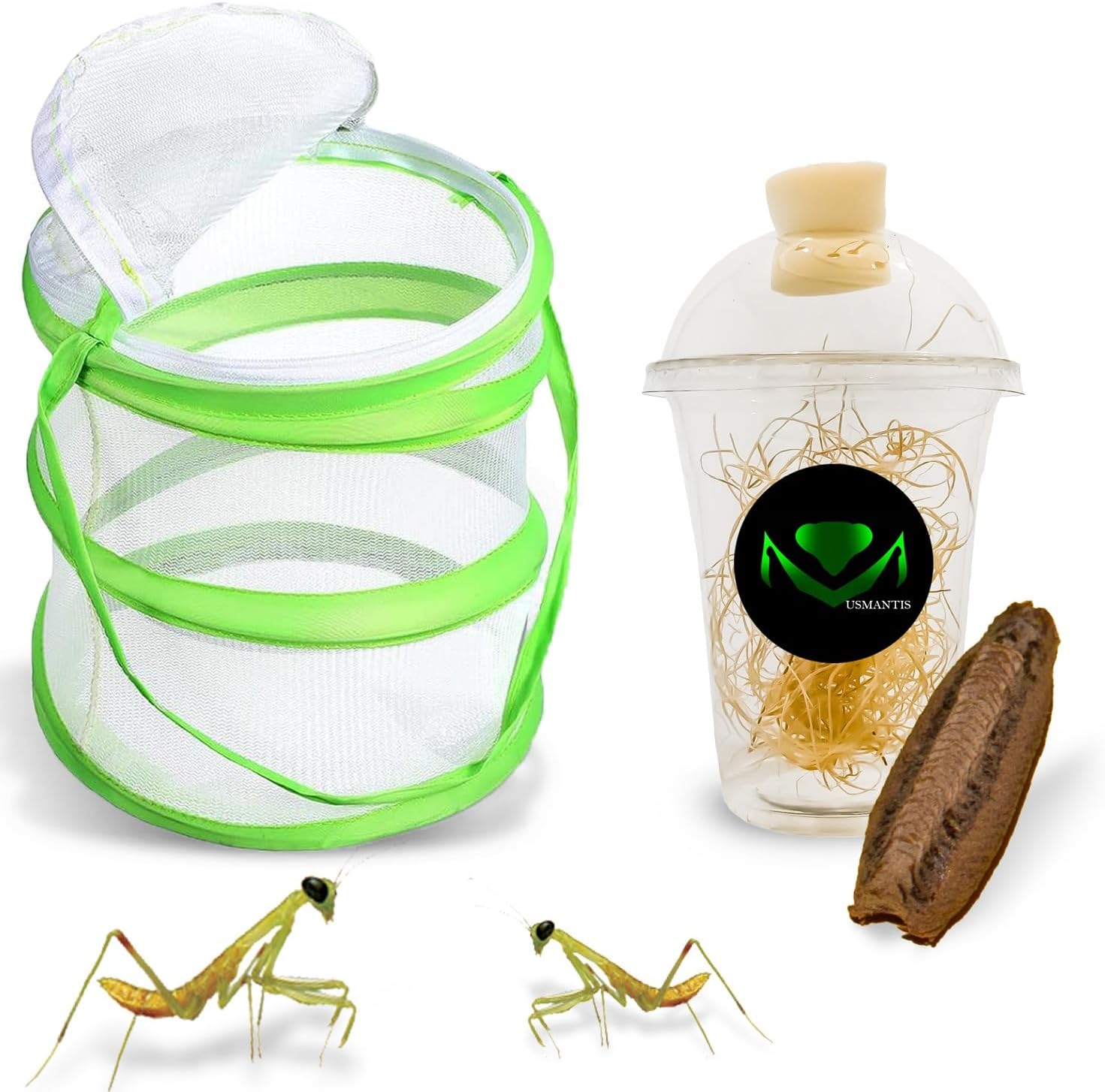 USMANTIS Carolina Praying Mantis Habitat Kit front view showing the green mesh pop-up cage and hatching accessories.
