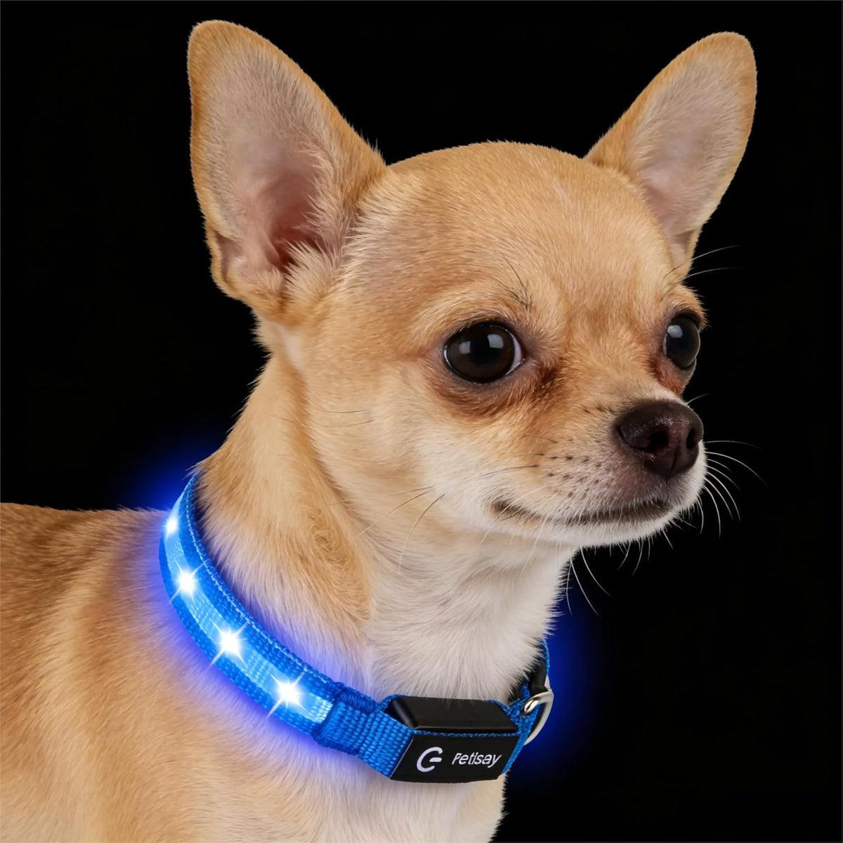 Three flashing light modes diagram on PetIsay rechargeable collar package