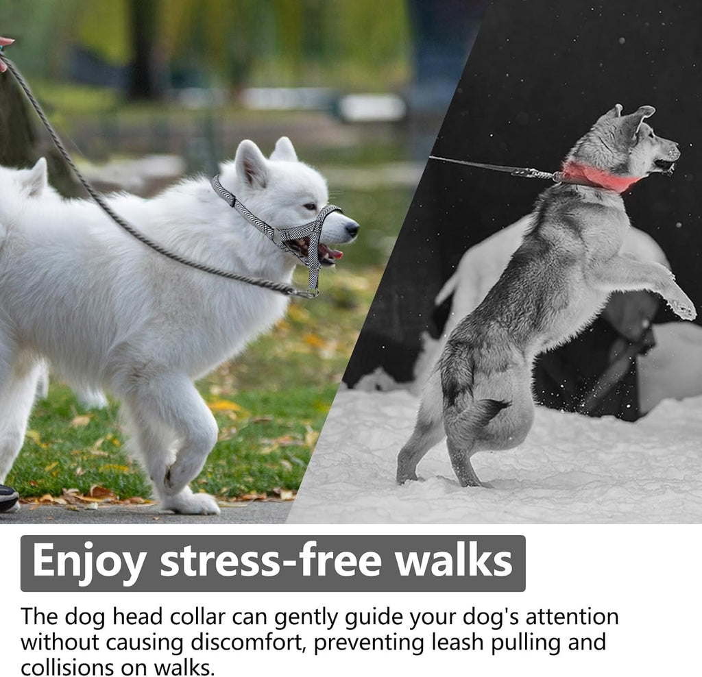Wintchuk premium imported anti-pulling pet head collar packaging details