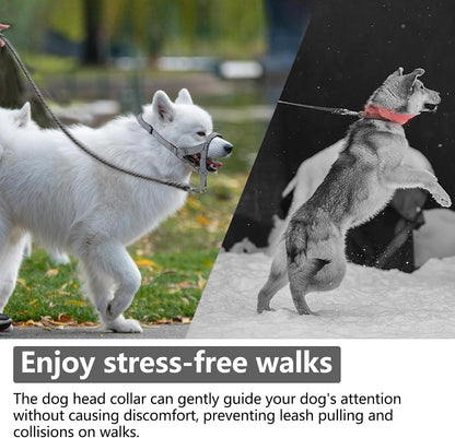 Wintchuk premium imported anti-pulling pet head collar packaging details
