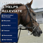 Professional equine grooming kit including Show Out concentrate