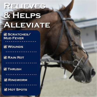 Professional equine grooming kit including Show Out concentrate