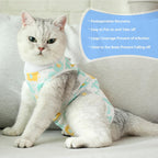 Coppthinktu cat surgery recovery clothing protecting abdominal wounds safely