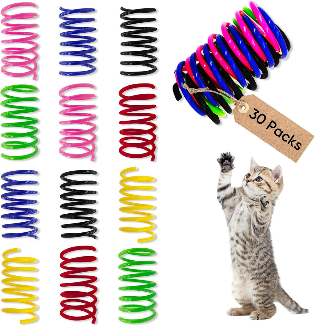 Cat Toys for Indoor Cats, 30 Pack Interactive Cat Spring Toys, Durable Colorful Plastic Spiral Springs for Kitten Hunt, Swat and Bite, Bulk Cat Toys - Image 14