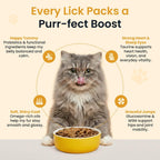 Altira Everyday Cat Gravy roasted chicken flavor nutritional supplement