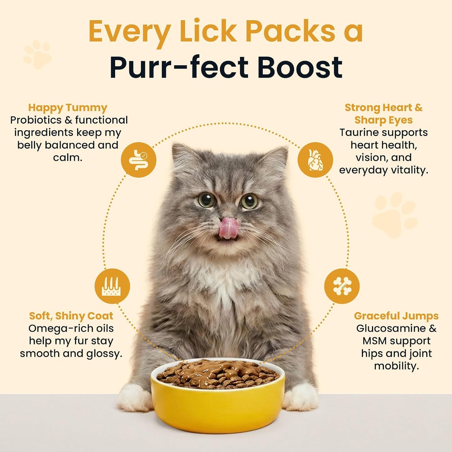 Altira Everyday Cat Gravy roasted chicken flavor nutritional supplement