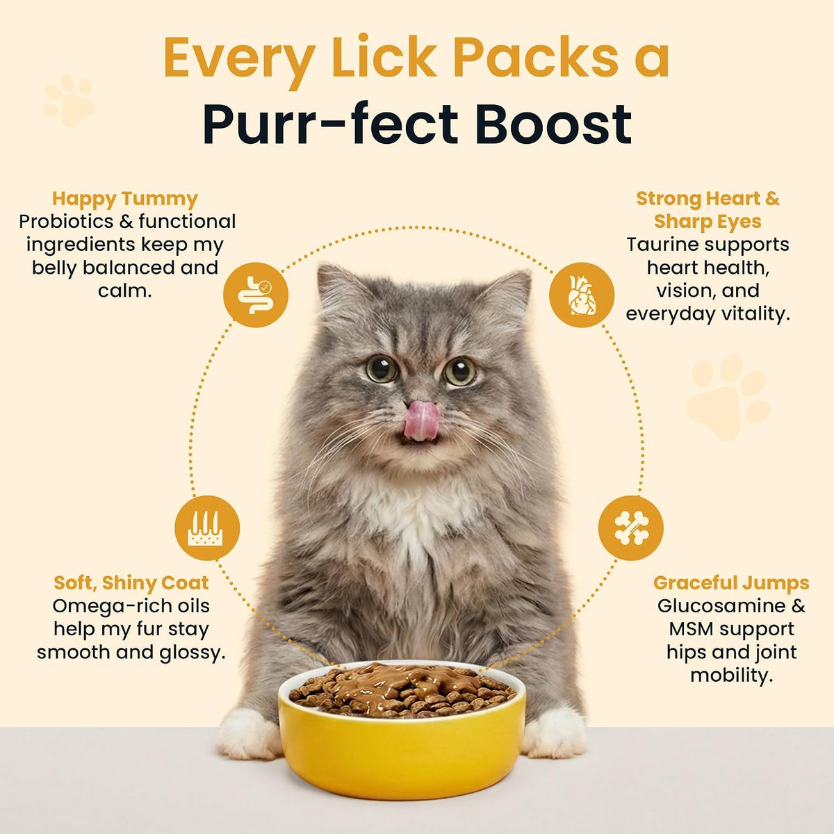 Altira Everyday Cat Gravy roasted chicken flavor nutritional supplement