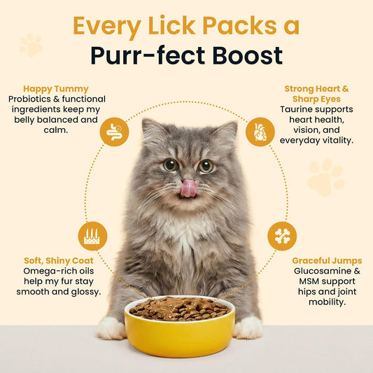 Altira Everyday Cat Gravy roasted chicken flavor nutritional supplement