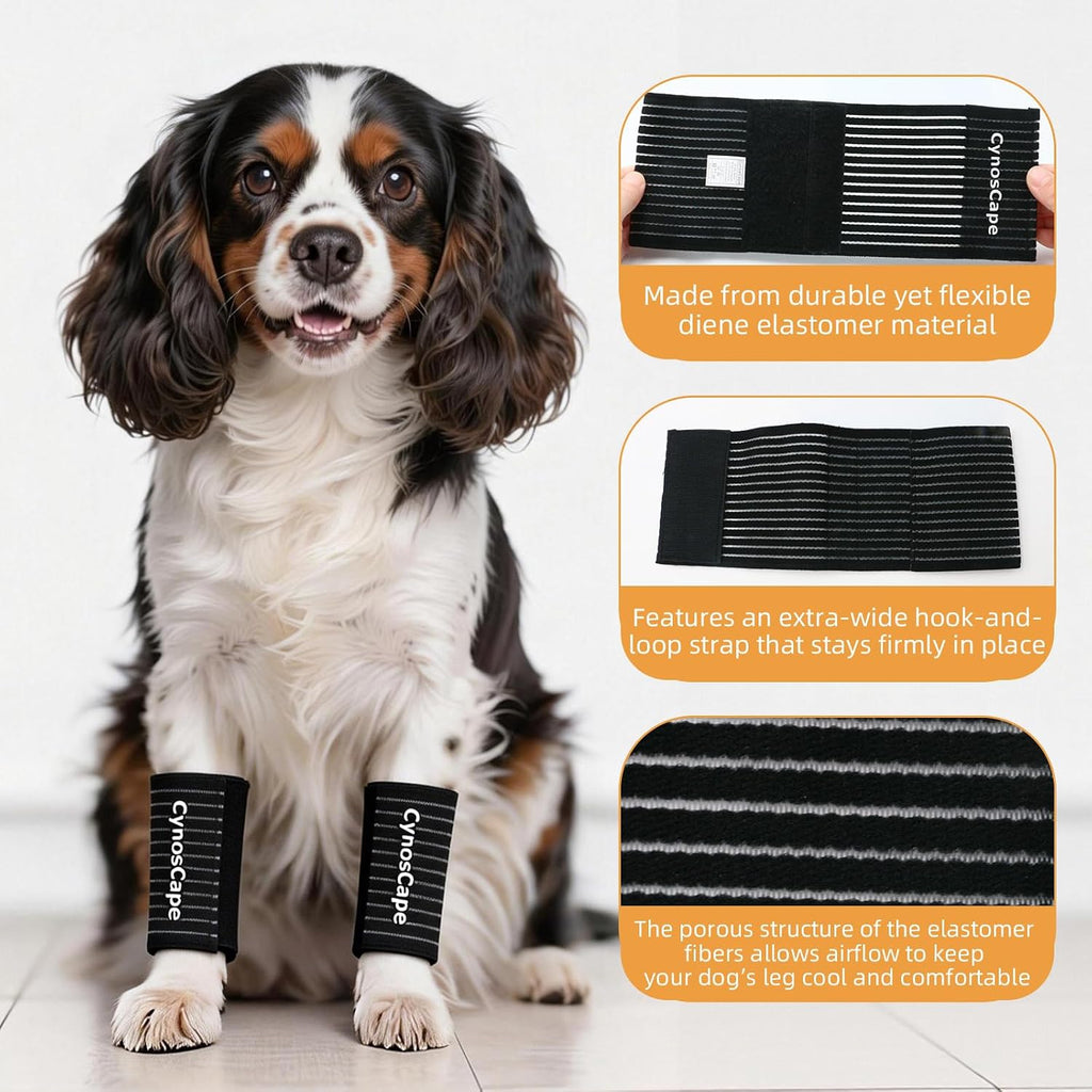 Dog wearing black leg sleeve for arthritis support