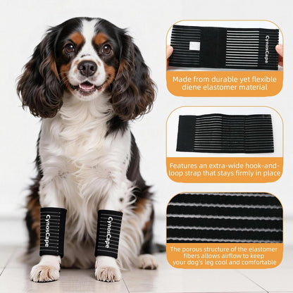 Dog wearing black leg sleeve for arthritis support