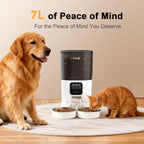 Smart automatic pet food dispenser with dual stainless steel bowls.