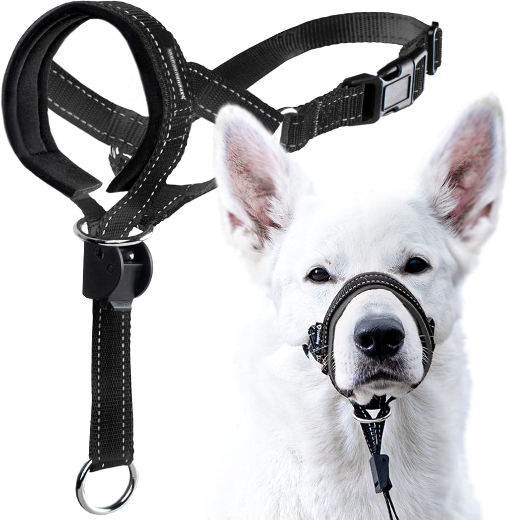 Pink reflective dog walking halter attached to a standard collar
