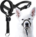 Pink reflective dog walking halter attached to a standard collar